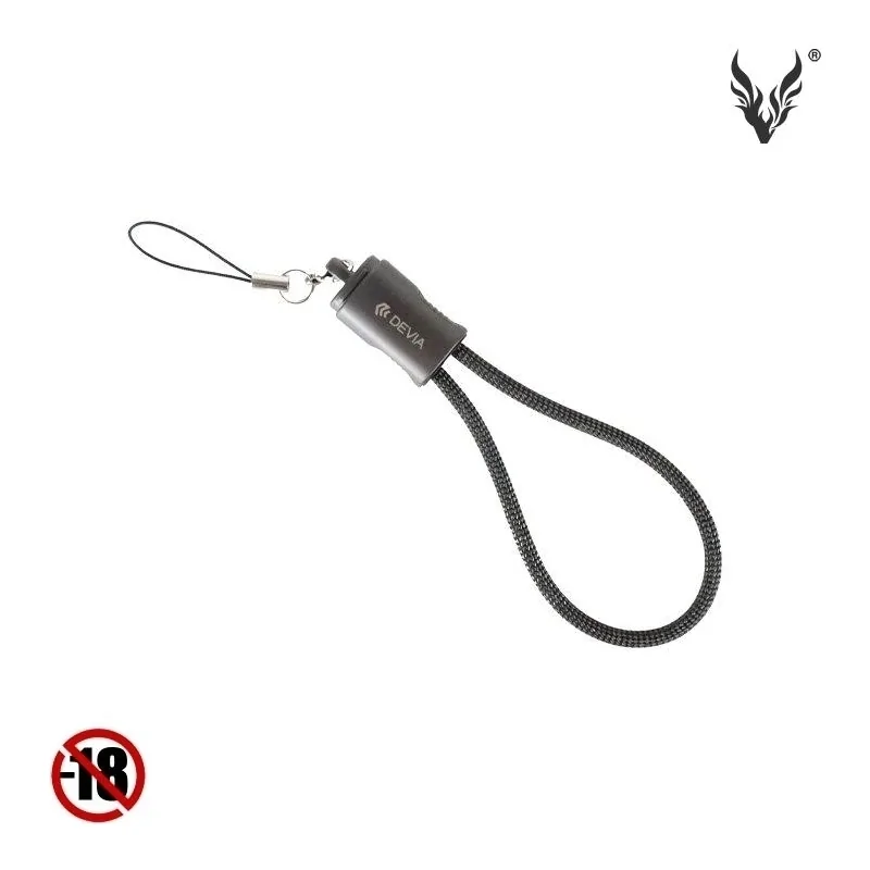 Câble de Charge Porte Clés à Lanière USB-C Vers USB-C Ultra 10 de DEVIA