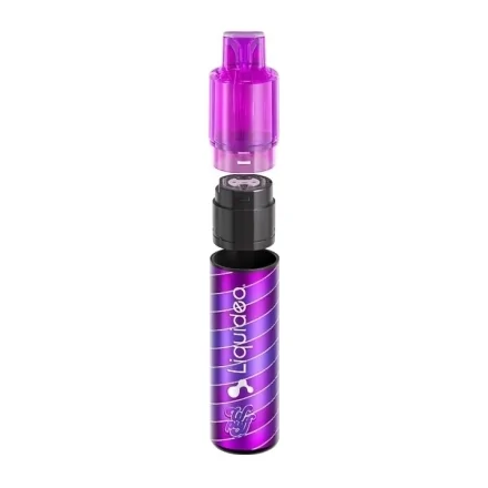Pod System 15k Raisin Glacé de Wpuff Fusion