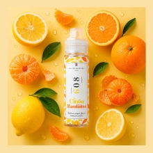 N° 608 • Le Citron et sa Mandarinede Maître Vapotier