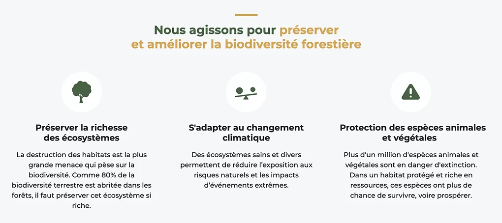 Ecotree agit pour préserver et améliorer la biodiversité forestière