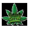 Canna Cotton